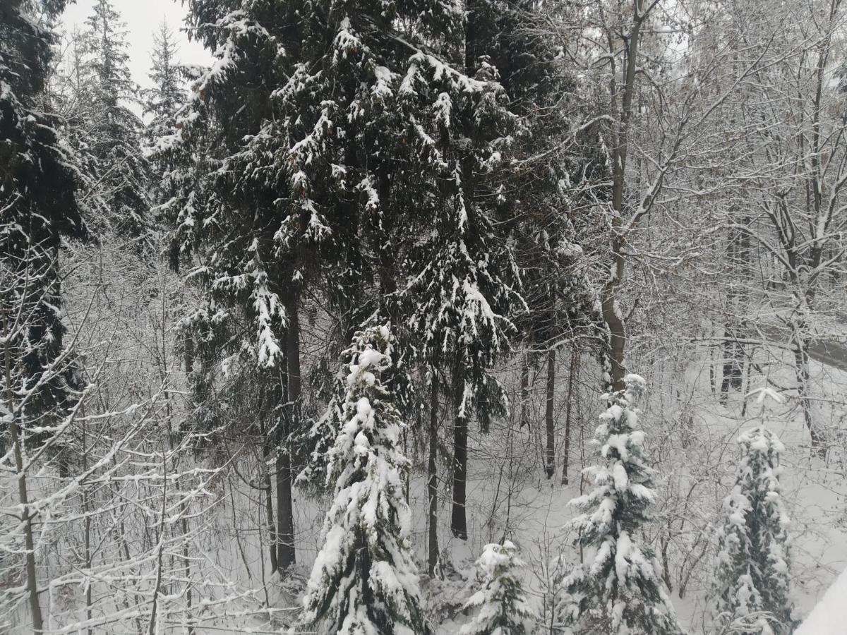 Apartamenty Krokiew Zakopane Bagian luar foto